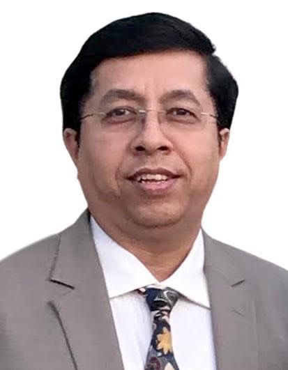 Subramanian Raman (Gopal)